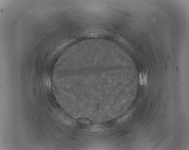 X0000068721155200605261953