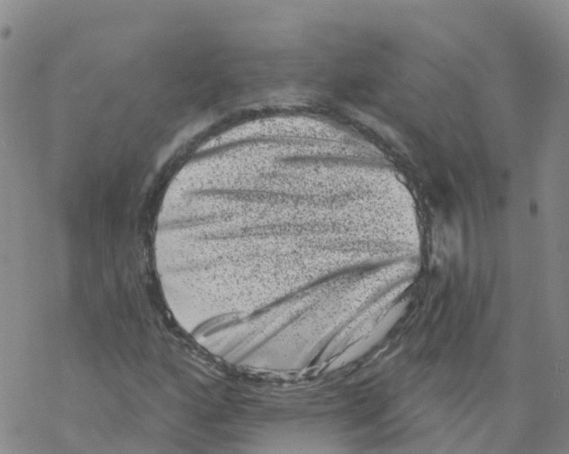 X0000068721160200605261953
