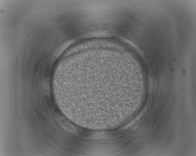 X0000068721162200605261953