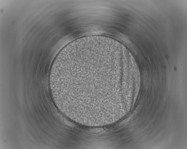 X0000068721186200605261953