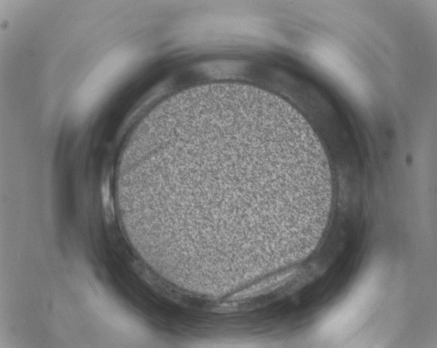 X0000068721198200605261953