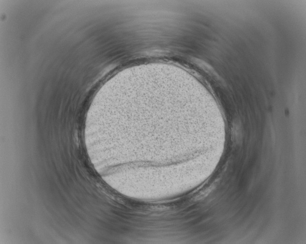 X0000068721209200605261952