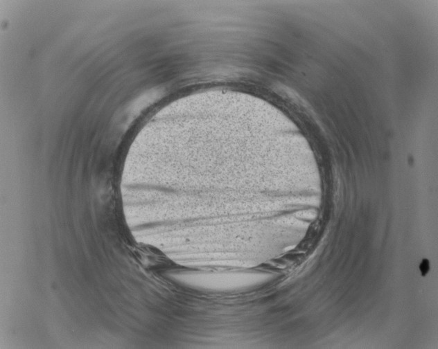 X0000068721210200605261952