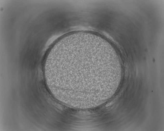 X0000068721215200605261952