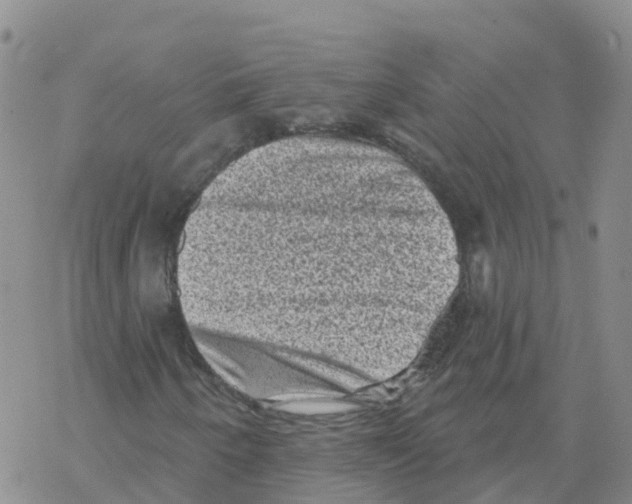 X0000068721250200605261952