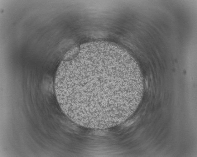 X0000068721251200605261952