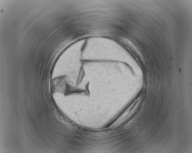 X0000068721276200605261952