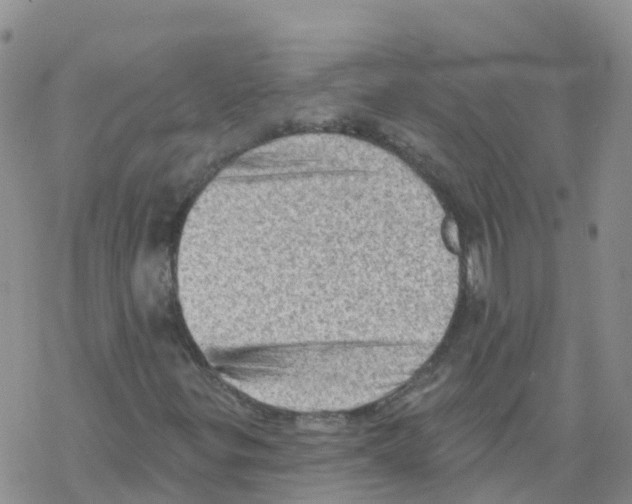 X0000068721299200605261950