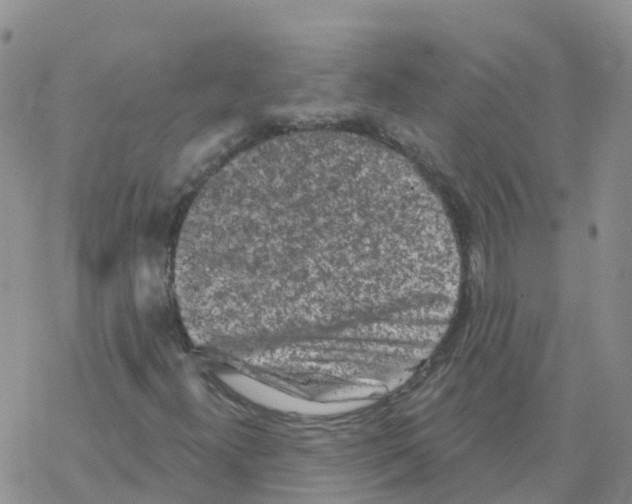 X0000068721300200605261950