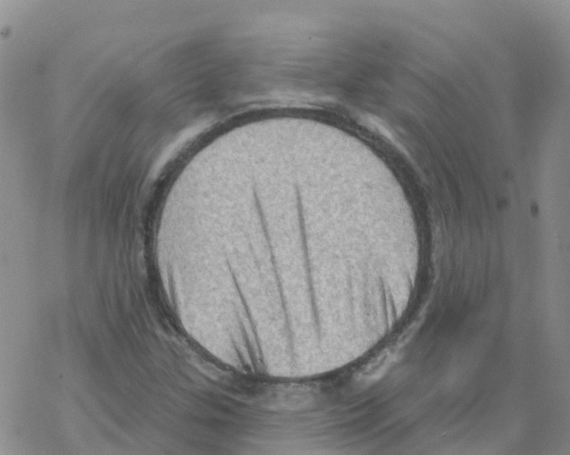 X0000068721307200605261951