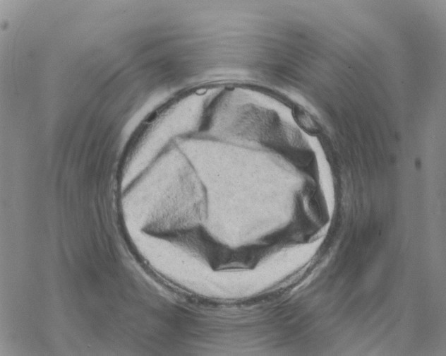X0000068721325200605261951