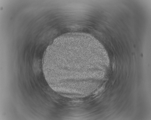 X0000068721346200605261950