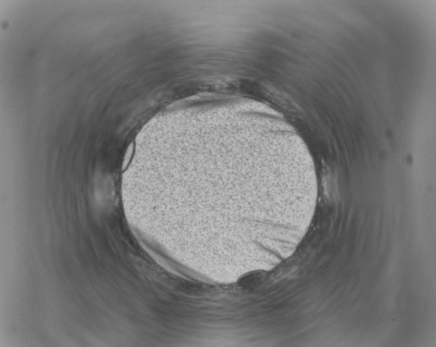 X0000068721347200605261950