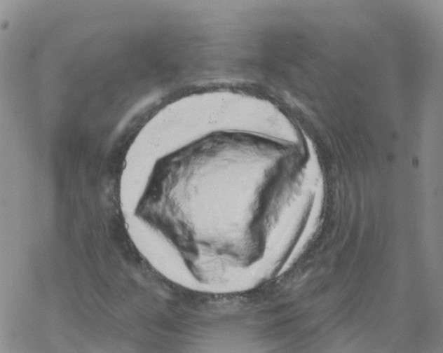 X0000068721351200605261950