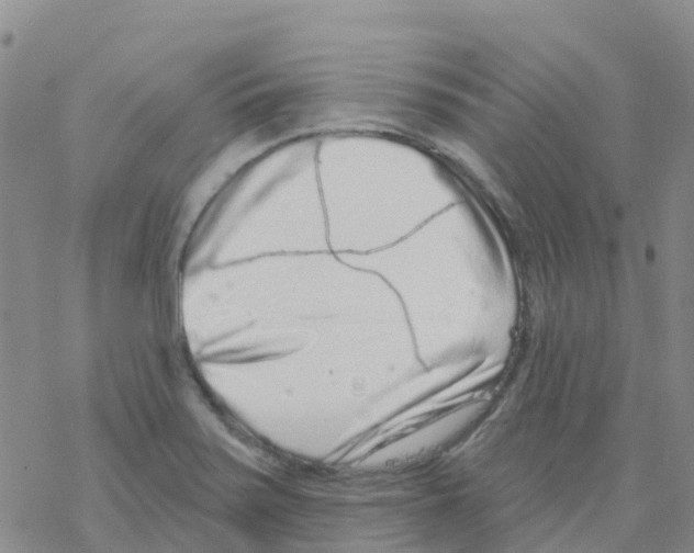 X0000068721371200605261950