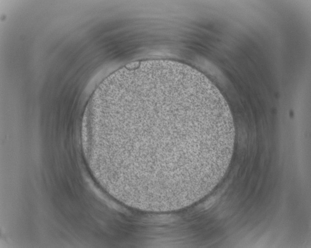 X0000068721382200605261950