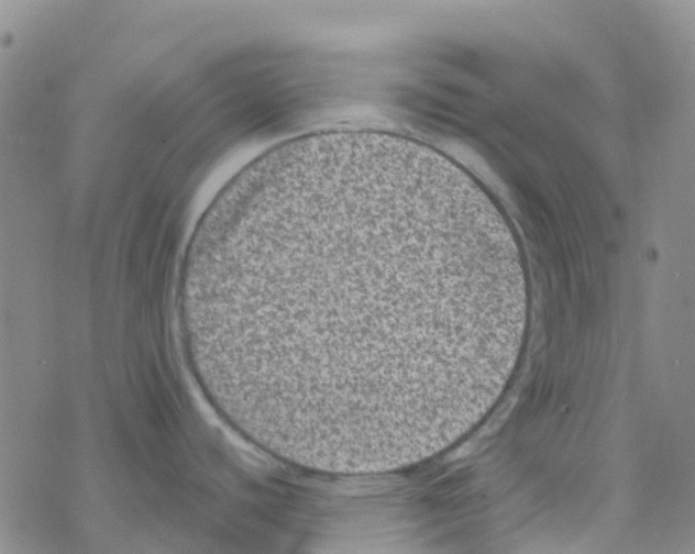 X0000068721440200605261950