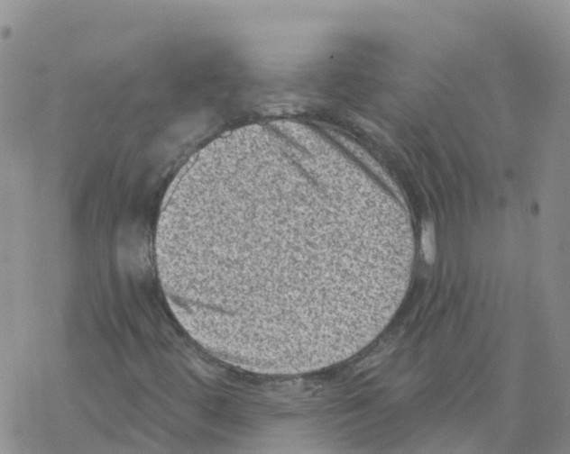 X0000068721444200605261949