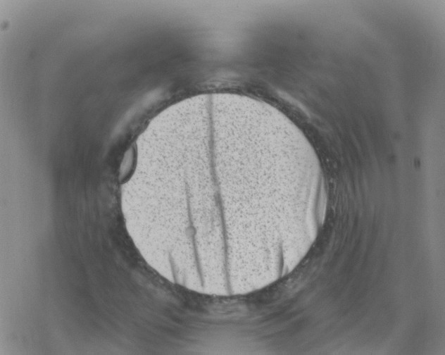 X0000068721447200605261949