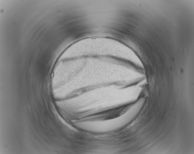 X0000068721484200605261948