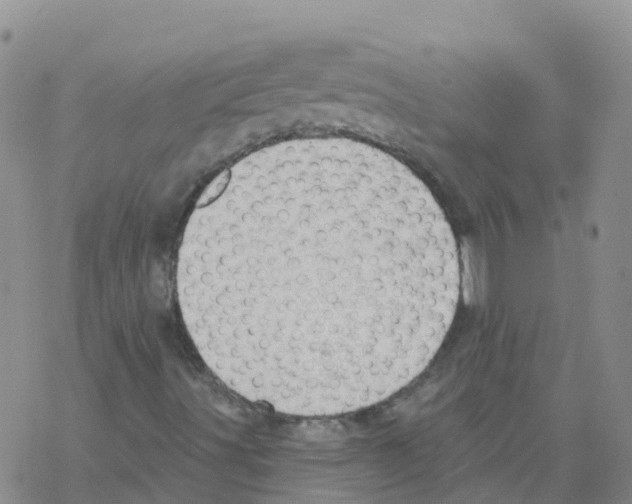 X0000068721491200605261947