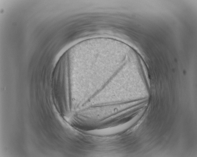 X0000068721534200605261948