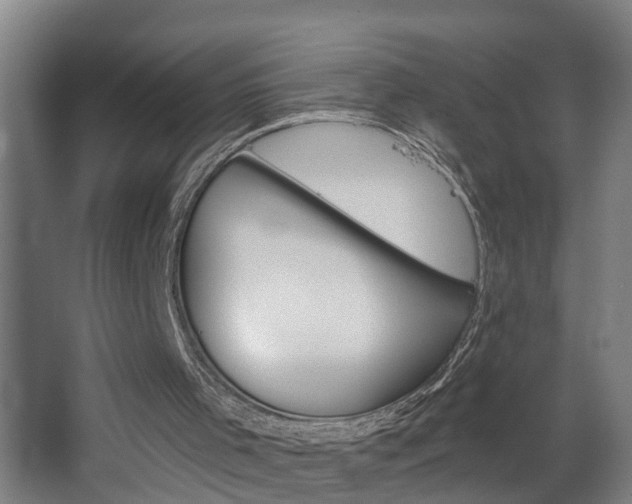 X0000068730001200604281002