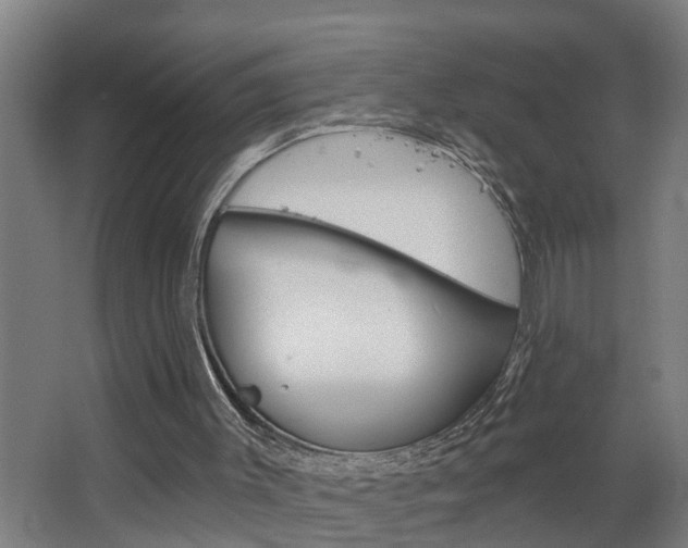 X0000068730003200604281002