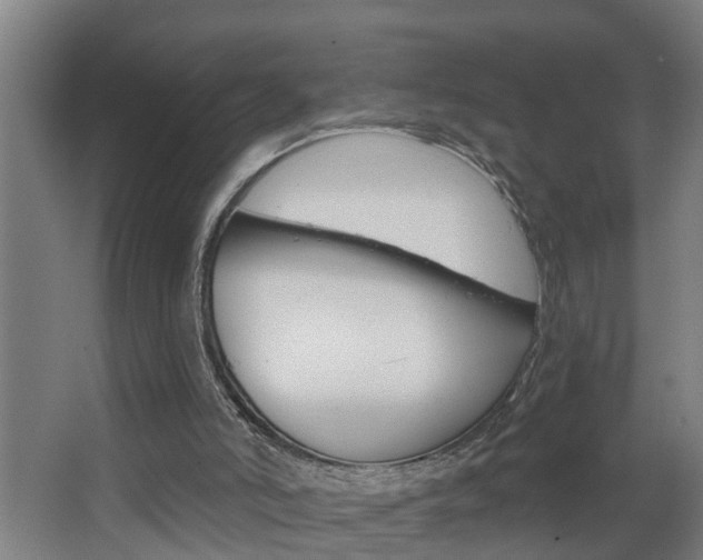 X0000068730006200604281002