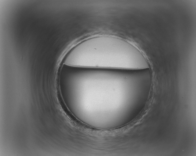 X0000068730007200604281002