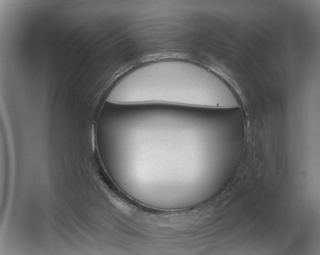 X0000068730013200604281002
