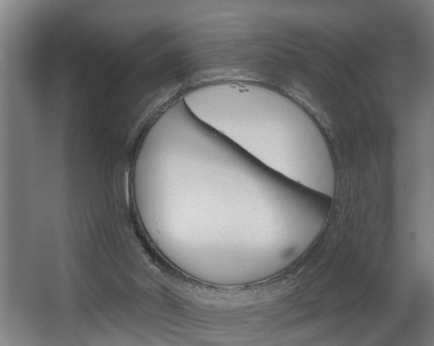X0000068730014200604281002