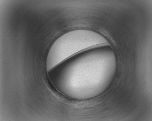X0000068730021200604281002