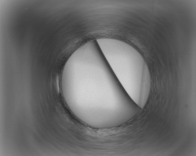 X0000068730022200604281002