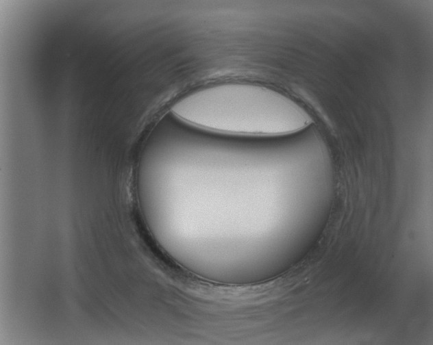 X0000068730023200604281002