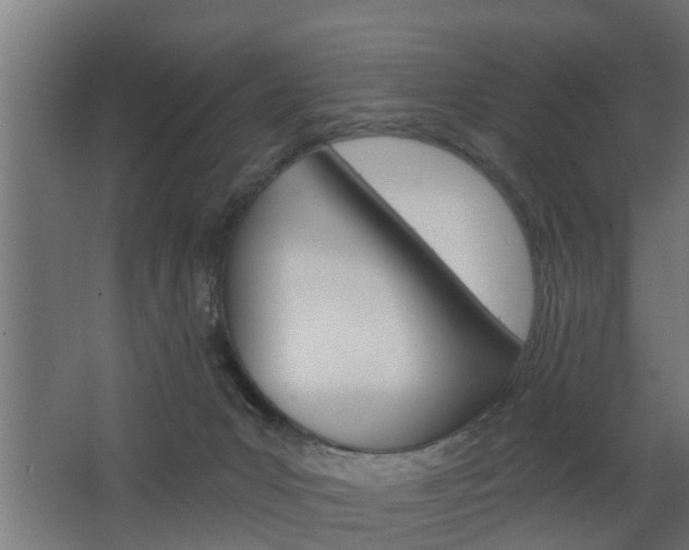 X0000068730031200604281002
