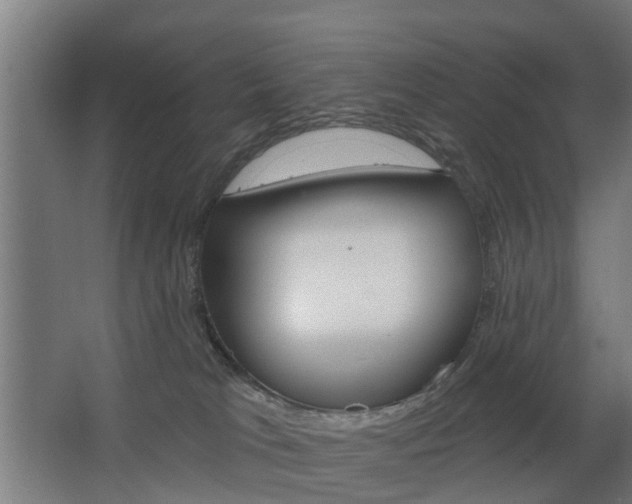 X0000068730037200604281002