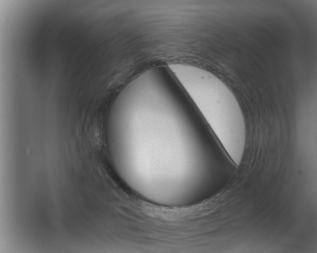 X0000068730039200604281001