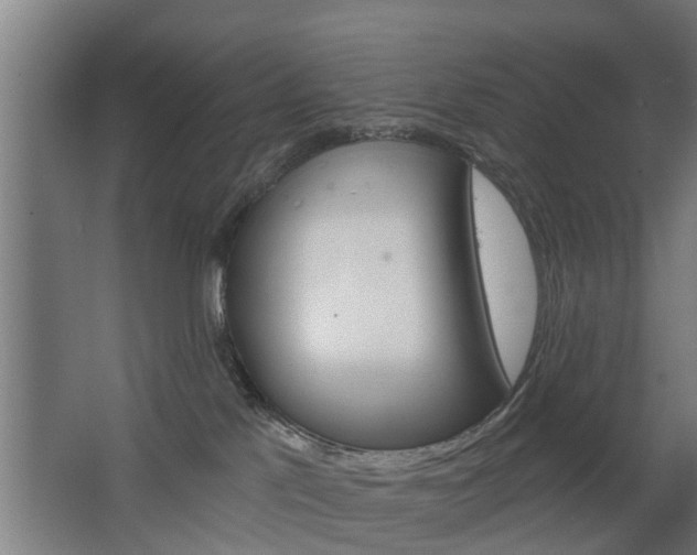 X0000068730041200604281001