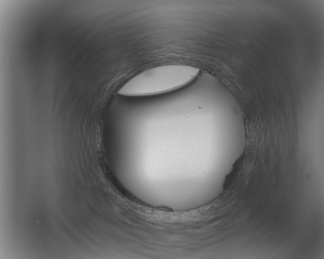 X0000068730043200604281001