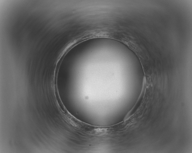 X0000068730052200604281001