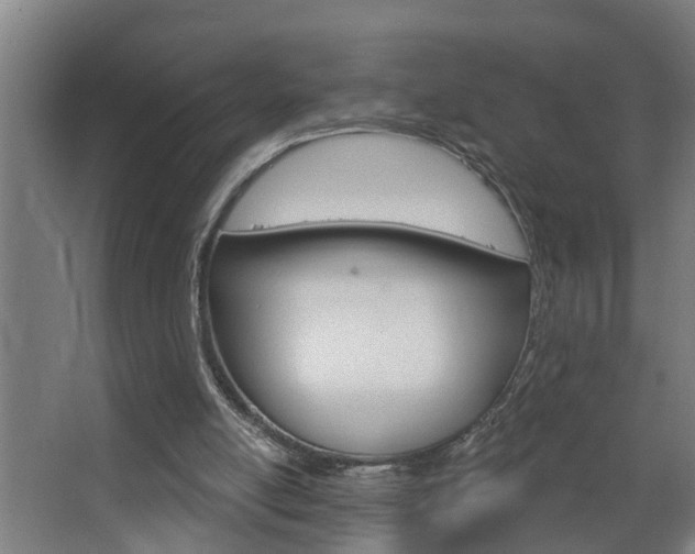 X0000068730054200604281001