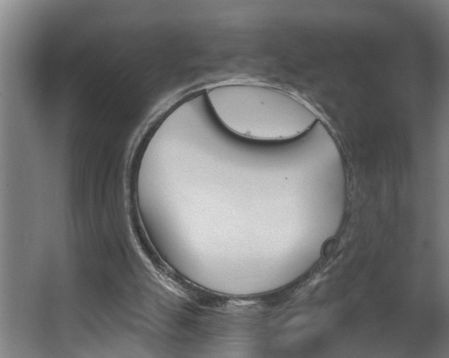 X0000068730055200604281001