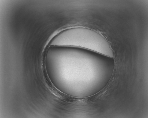 X0000068730056200604281001