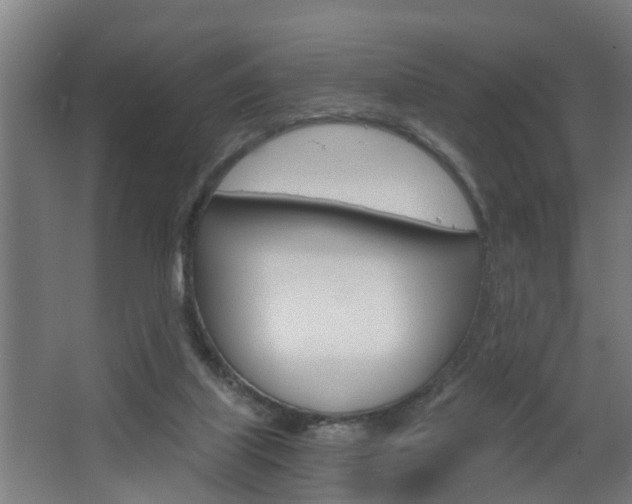 X0000068730067200604281001