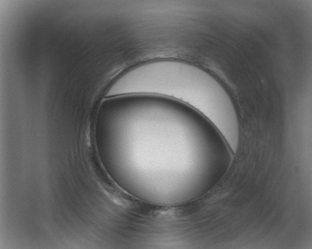X0000068730068200604281001