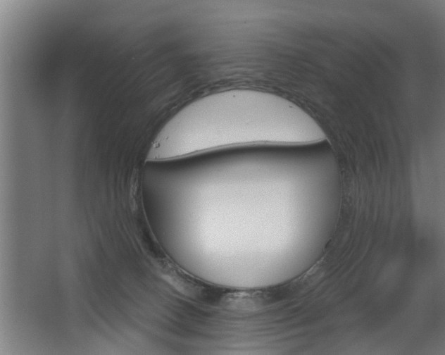 X0000068730082200604281001