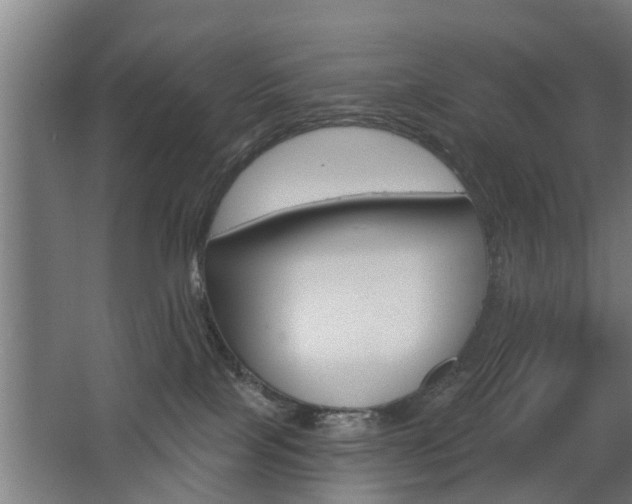 X0000068730089200604281001