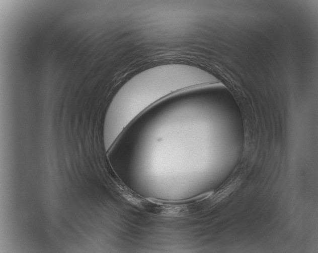 X0000068730096200604281001