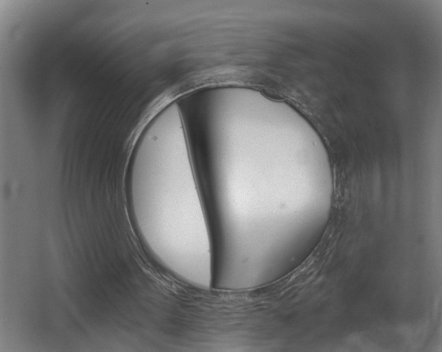 X0000068730099200604281000
